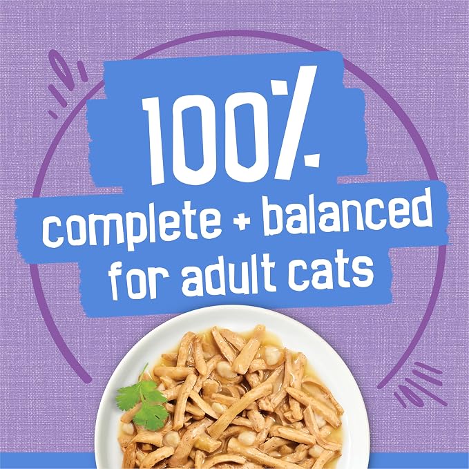 Friskies Purina Shreds Turkey and Cheese Dinner in Gravy High Protein Wet Cat Food - 5.5 oz. Cans,(Pack of 48)