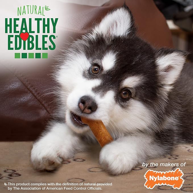 Nylabone Healthy Edibles Puppy Dog Treats, 8 Count | Turkey & sweet potato flavor, natural puppy treats, USA made, highly digestible, small dog treats for puppies up to 15 lbs