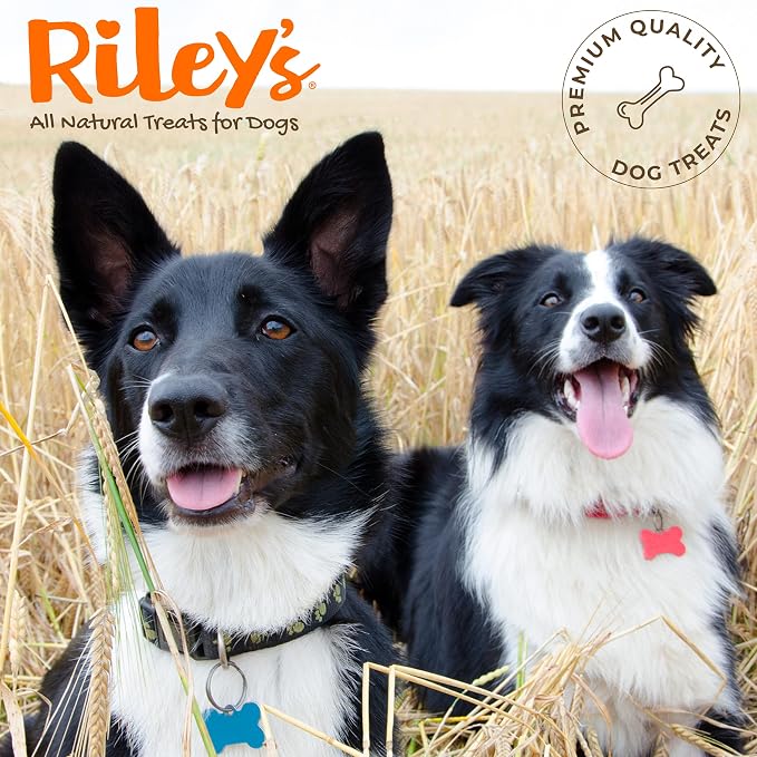 Riley's Pill Wrap for Dogs - Savory Bacon Pill Paste for Dogs - 8oz