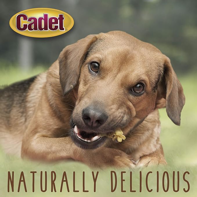 Cadet Gourmet Chicken & Apple Wrapped Biscuits Dog Treats, 14 oz | Made with real chicken & apple, dog treats wraps, crunchy healthy dog treats, great for training, for small & large breeds