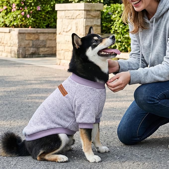 1 Pack Dog Sweaters for Small Dogs Girl Boy Winter Fleece Clothes Warm Soft Dog Sweatshirt Outfit for Dogs Cats Pet Apparel