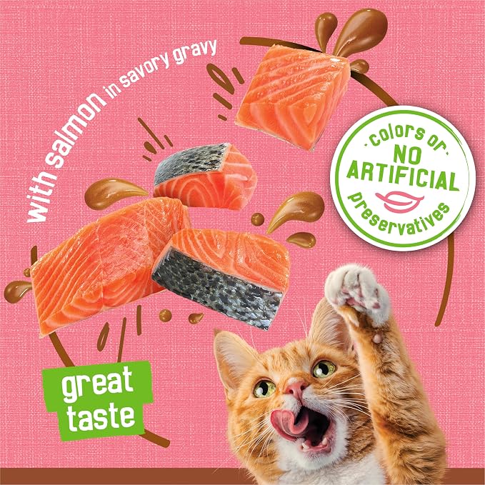 Friskies Purina Wet Cat Food Extra Gravy Pate with Salmon in Savory Gravy - 5.5 oz. Cans,(Pack of 48)