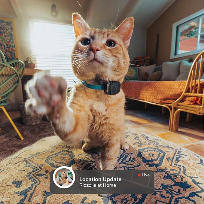 Fi Mini Attachable GPS + Activity Tracker for Cats, 12-Month Membership | Smart GPS collar attachment with virtual fences, escape alerts, health and step tracking. Lightweight and waterproof.