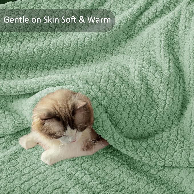 Exclusivo Mezcla Soft Fleece Queen Size Blanket for Bed, Sage Green | Jacquard Lightweight Cozy Bed Blanket, Breathable Decorative Fuzzy Textured All Season Use, 90x90 Inches