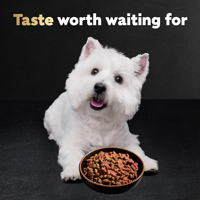 Cesar Small Breed Dry Dog Food, Filet Mignon & Spring Vegetable, 5 lb | Made in USA, Real beef #1 ingredient, 26 essential nutrients, supports small breed health, no artificial flavors