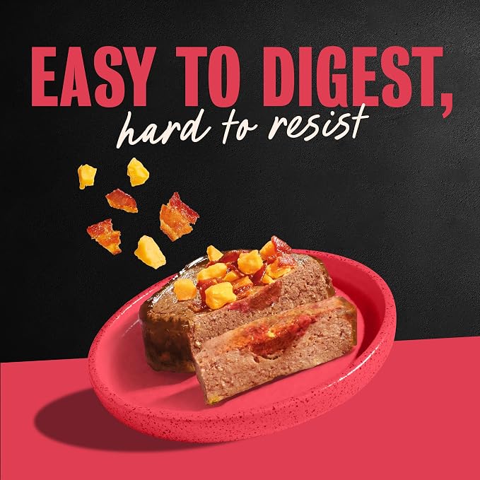 Cesar Loaf & Topper Wet Dog Food, Bacon Feast, 3.5 oz, 12 Count, 2-Pack | Rotisserie Chicken & Angus Beef with Bacon & Cheese, no fillers or artificial flavors, slow-cooked, easy peel trays