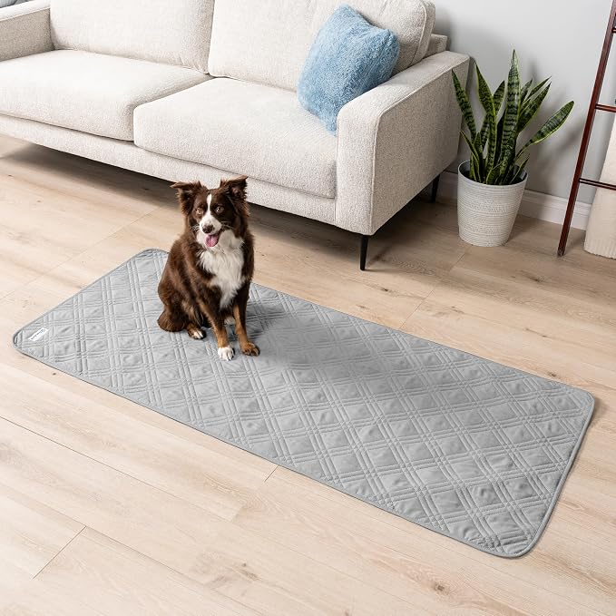 PetAmi Waterproof Couch Cover for Dog Bed Sofa Blanket, 30x70 Light Gray | Leakproof Furniture Protector for Pet Cat, Machine Washable Pee Proof Mat for Chair Car Seat, Durable & Anti Slip Backing