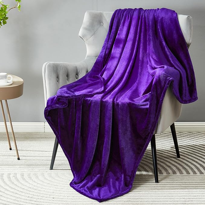 DREAMNINE Pack of 21 Fuzzy Soft Fleece Throw Blanket for Couch Sofa 50" x 60", Decorative Solid Lightweight Velvet Blankets for Chair, Cozy Accent Shaggy Plush Flannel Blanket for Bedroom, Purple