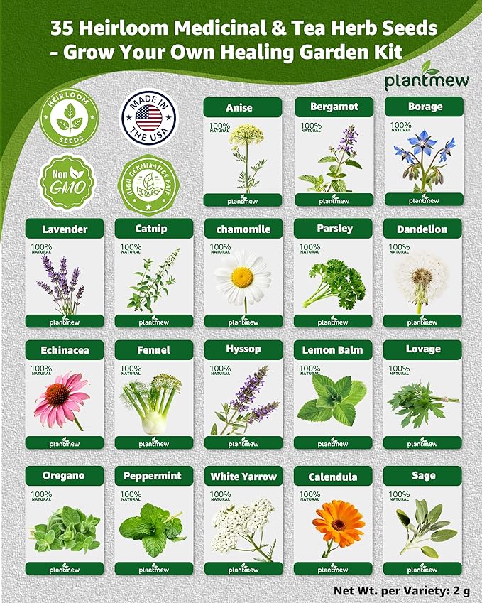 Medicinal & Tea Herb Seeds for Planting - 35 Non-GMO Variety Pack for Indoor/Outdoor Garden: Anise, Bergamot, Borage, Fennel, Chamomile, Dandelion, Oregano, Hyssop, Catnip Seeds & More