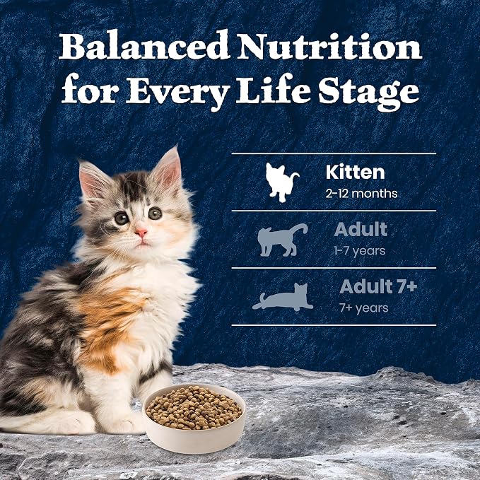 Blue Buffalo Wilderness Salmon Kitten Dry Cat Food, Grain-Free, 5 lb | High Protein, Real Salmon #1 Ingredient, DHA & ARA for Brain and Eye Development, Antioxidant-Rich LifeSource Bits