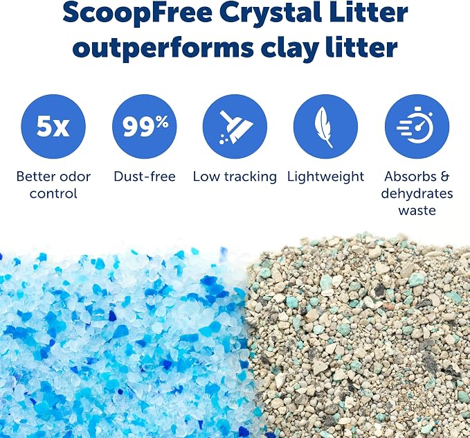 PetSafe ScoopFree Disposable Crystal Litter Tray, Fresh Scent, 6 Pack | No-Scoop Crystal Cat Litter, 5x Faster Odor Control, 99% Dust-Free, Easy Cleanup, Leak-Proof Disposable Tray Refill with Lid