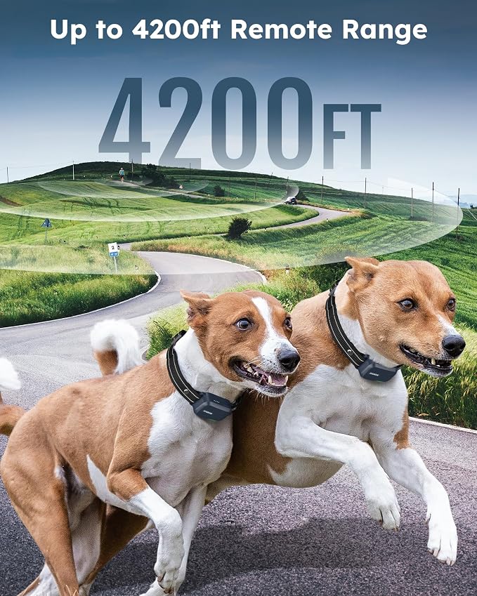 Shock Collar for 2 Dogs, 4200FT Dog Training Collar with Remote