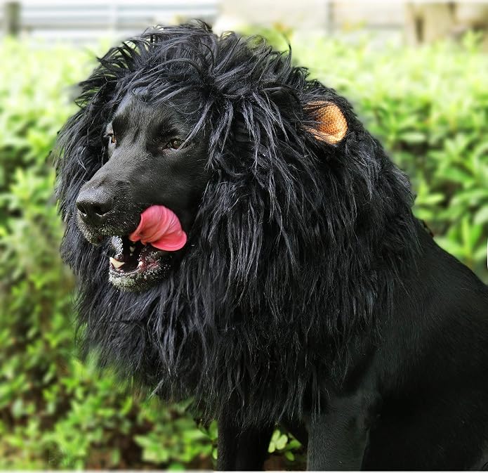 Lion Mane Wig for Dogs with Ears, Funny Pet Costumes for Halloween Christmas