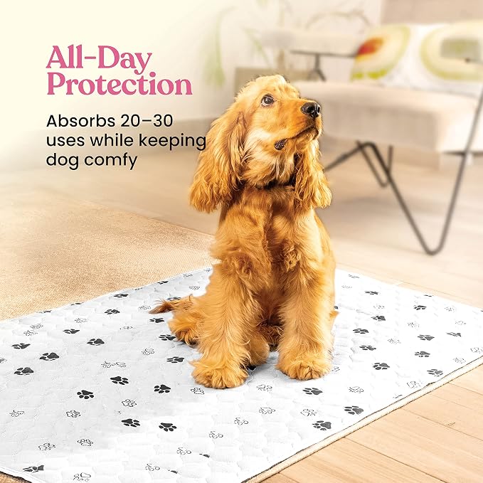 Super Absorbent Washable Pee Pads for Dogs - 2-Pack Superior Reusable Puppy Pads Pet Training Pads –100% Waterproof Dog Pee Pad Protects Against Urine Leakage Non-Slip Grip Prevents Slipping& Bunching