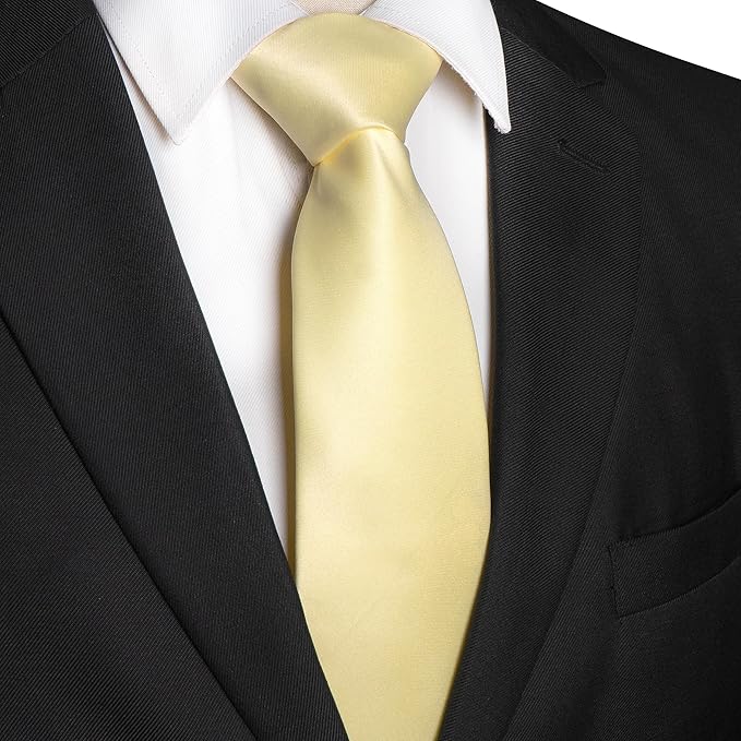 JEMYGINS Solid Color Tie Mens Necktie for Business and Wedding