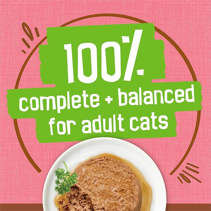 Purina Friskies Wet Cat Food Extra Gravy Pate With Salmon in Savory Gravy - (Pack of 24) 5.5 oz. Cans