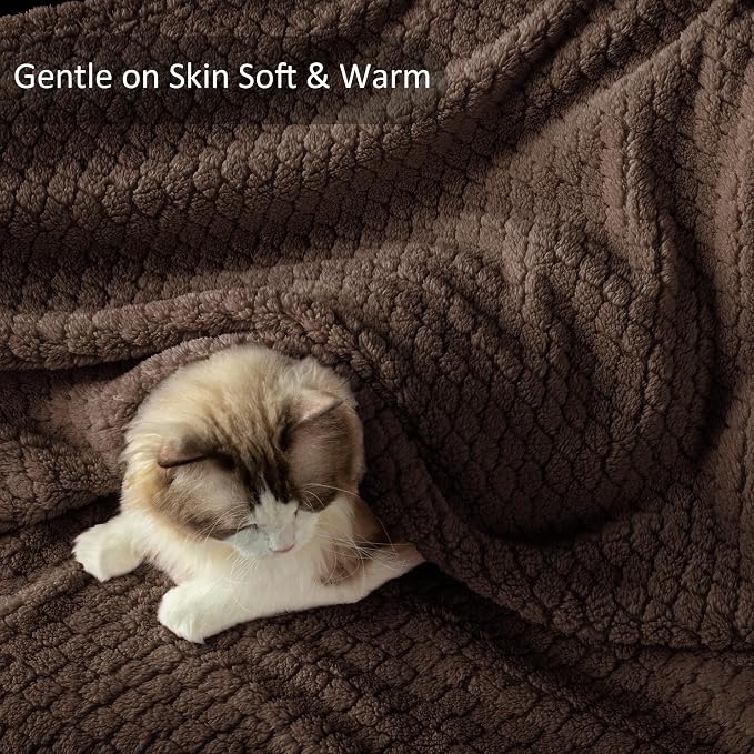 Exclusivo Mezcla Soft Fleece Queen Size Blanket for Bed, Coffee | Jacquard Lightweight Cozy Bed Blanket, Breathable Decorative Fuzzy Textured All Season Use, 90x90 Inches