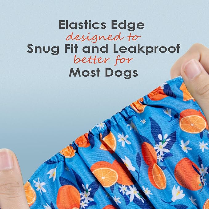 wegreeco Washable Male Dog Belly Band (Stylish Pattern)- Pack of 3 - Washable Male Dog Belly Wrap, Dog Diapers Male (Fruit, X-Large)