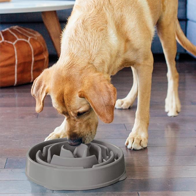 Outward Hound Fun Feeder Slo Bowl Dog Slow Feeder, Drop, Gray, 11.8"