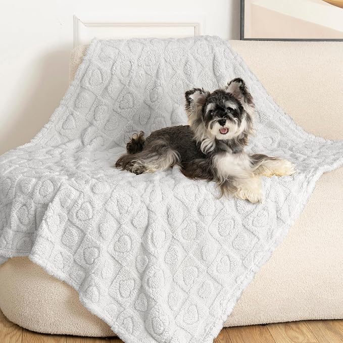 gogobunny Large Pet Blanket for Dogs Cats, Ultra Soft 300GSM Coral Fleece Washable Furniture Protector for Couch Bed Car Seat, Calming Crate Mat Blanket for Large Breeds, Light Grey, 40x50IN
