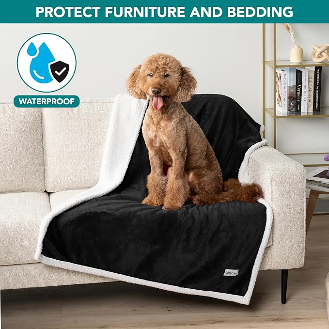PetAmi Waterproof Dog Blanket for Medium Large Dog Pet, 60x40, Black | 460 GSM Sherpa Fleece Reversible, Pee Proof Cat Blanket, Furniture Protector Cover for Couch Bed Sofa Kennel, Washable, Large