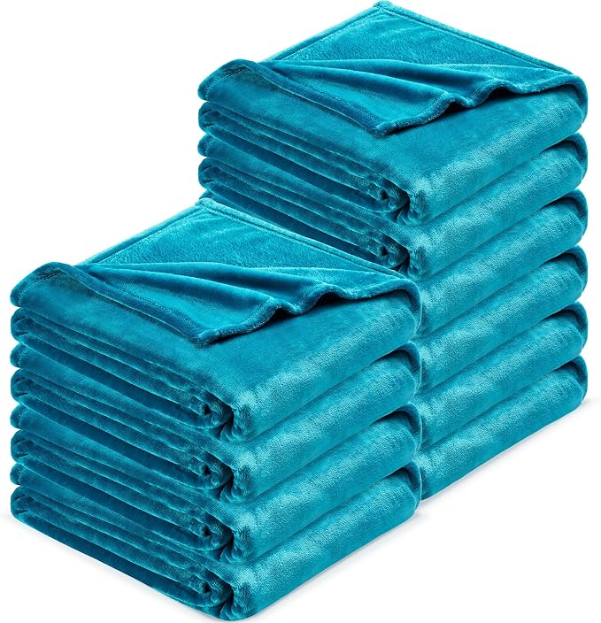 DREAMNINE Pack of 10 Fuzzy Soft Fleece Throw Blanket for Couch Sofa 50" x 60", Decorative Solid Lightweight Velvet Blankets for Chair, Cozy Accent Shaggy Plush Flannel Blanket for Bedroom, Teal