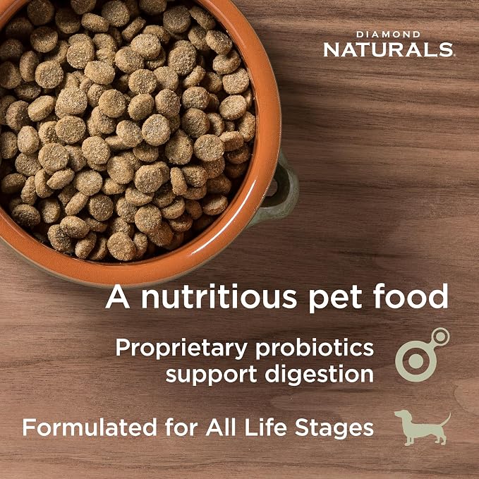 Diamond Naturals Skin & Coat Puppy, Adult & Senior Dry Dog Food Salmon 15lb | Real Salmon & Potato | Omega Fatty Acids Help Support Healthy Skin & Shiny Coat | Guaranteed Probiotics & Superfoods