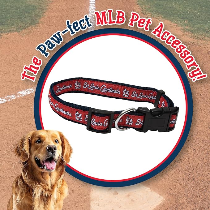 MLB St. Louis Cardinals Licensed PET COLLAR- Heavy-Duty, Strong, and Durable Dog Collar. Available in 29 Baseball Teams and 4 Sizes