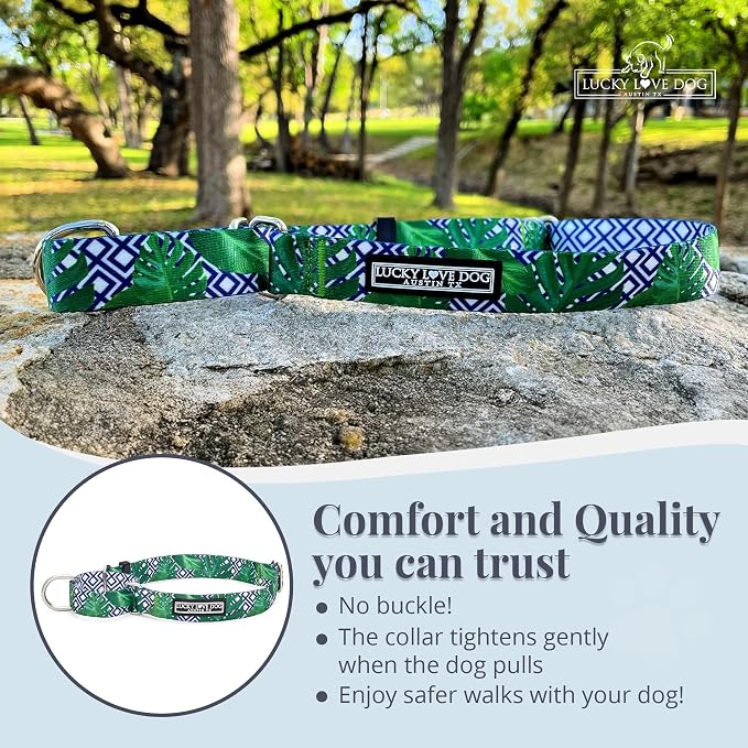 Lucky Love Dog Martingale Collar for Medium Dogs Cute – Blue Laguna, Medium