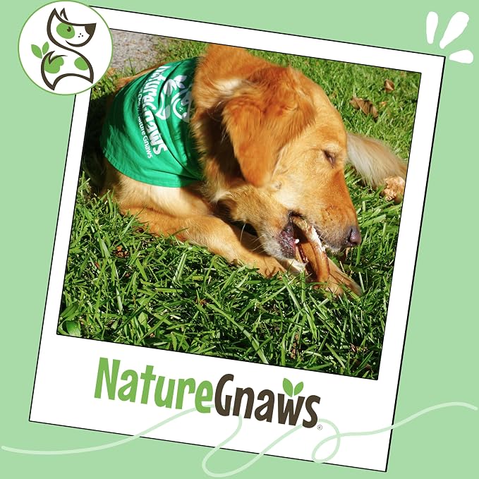 Nature Gnaws Bully Stick Rings Long Lasting Rawhide Free Dog Chews, 5 Count