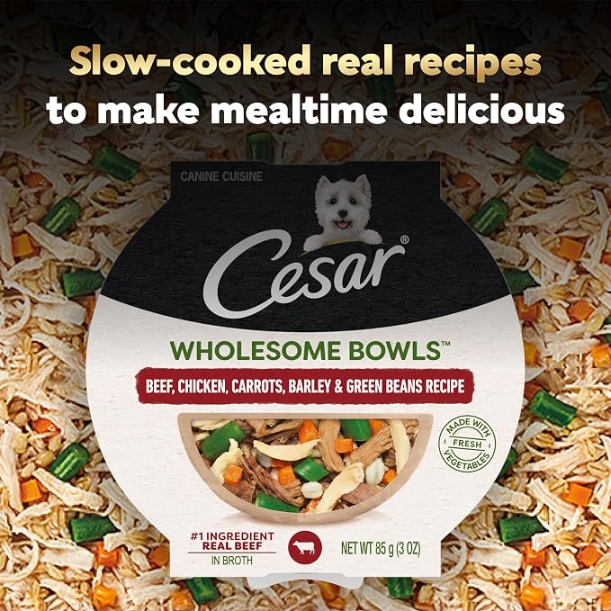 Cesar Wholesome Bowls Wet Dog Food, Beef & Green Beans, 3 oz, 10 Count | Real chicken #1 ingredient, 11 key ingredients or less, no by-products or artificial flavors, serve solo or with dry food