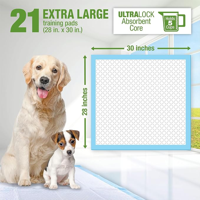 Lil' Squirts Extra Large Training Pads for Housebreaking Puppies, 21 Count | 12-Hour Protection, 6-Ply Construction, Absorbent Core, Leak-Proof Performance, Bleach & Dye Free, Odor Control Training Pads