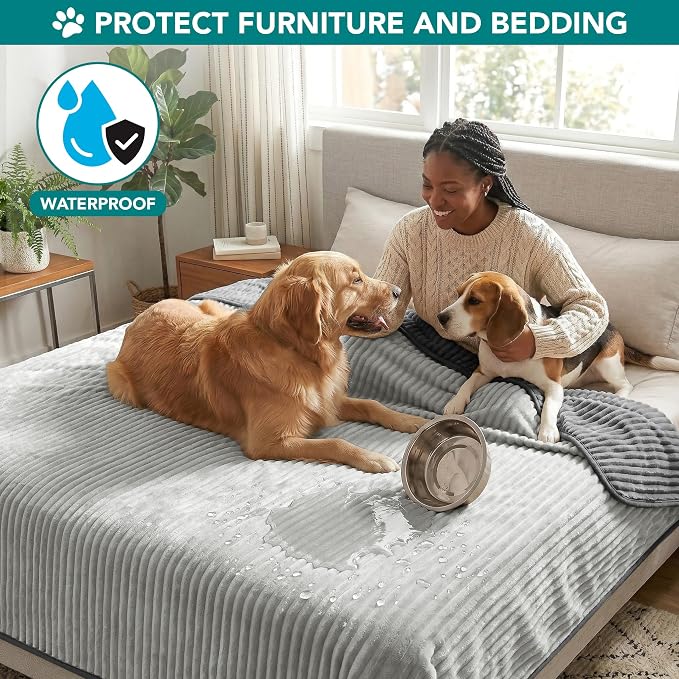 PetAmi Waterproof Dog Blanket, Leakproof Pet Blanket for Small Medium Large Cats, Soft Plush Reversible Sofa Couch Cover Protector, Washable Puppy Throw for Bed Crate, 60x80 in, Grey Light Gray