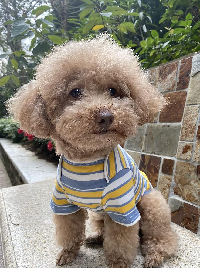 Dog Shirts Cotton Striped T-Shirt, Summer Pet Clothes for Small Dogs, 2-Pack Soft Puppy Apparel Cat Tee, Breathable Stretchy, Red Yellow L