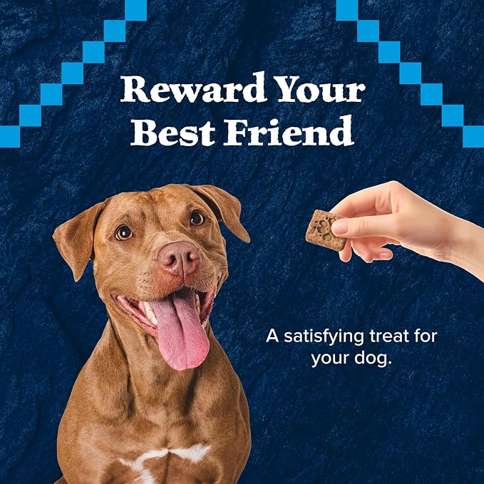 Blue Buffalo Wilderness Salmon Crunchy Dog Biscuits, Grain-Free, 10 oz | Real Salmon #1 Ingredient, Crunchy Biscuits, High Protein Nutrition, No Artificial Preservatives
