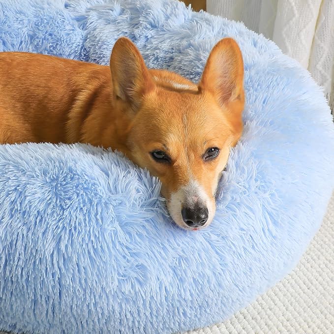 Western Home Calming Donut Small Medium Pet Dog Bed Washable,27" Light Blue | Fluffy Faux Fur Round Cuddler,Anti-Anxiety,Anti-Slip Bottom,Plush Pet Dog Beds for Small Medium Sized Dogs,Up to 35 LBS