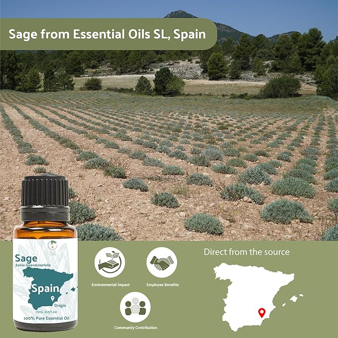 Sage Essential Oil - Direct from Essential Oils SL Spain - Steam Distilled - Aceite Esencial de Salvia for Aromatherapy, Massage, Diffuser, DIY Candle and Soap Making - 2lbs