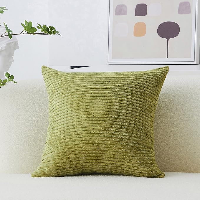 Home Brilliant 20x20 Pillow Cover Solid Decorative Plush Throw Pillow Cover Soft Velvet Cushion Cover for Garden Backyard Patio Decor, 20 x 20 inch (50cm), Grass Green