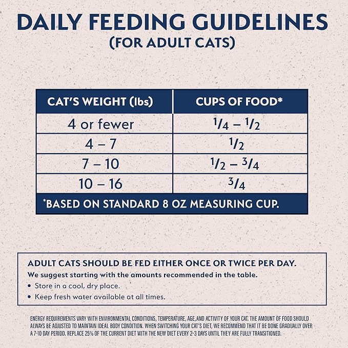 Natural Balance Limited Ingredient Cat Food, Duck & Green Pea, 10 lb | Grain-Free, Soy-Free, and Corn-Free Dry Cat Food, Balanced Nutrition for Adult Cats, Single Animal Protein