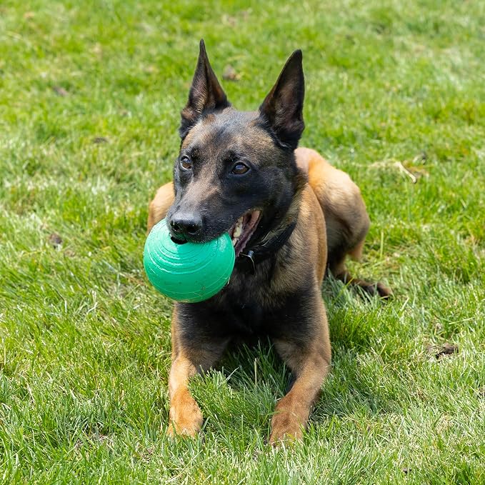 PetKORE: KoreFlex Ball - 4.75" Large, Green, Dog Toy, Shape Maintaining Rubber, Treat Stuffing Center, Bounce-Fetch-Chew, Pet Indoor-Outdoor Play