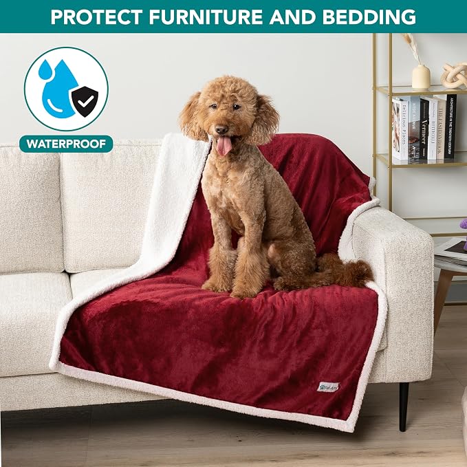 PetAmi Waterproof Dog Blanket for Medium Large Dog Pet, 60x40, Wine Red | 460 GSM Sherpa Fleece Reversible, Pee Proof Cat Blanket, Furniture Protector Cover for Couch Bed Sofa Kennel, Washable, Large