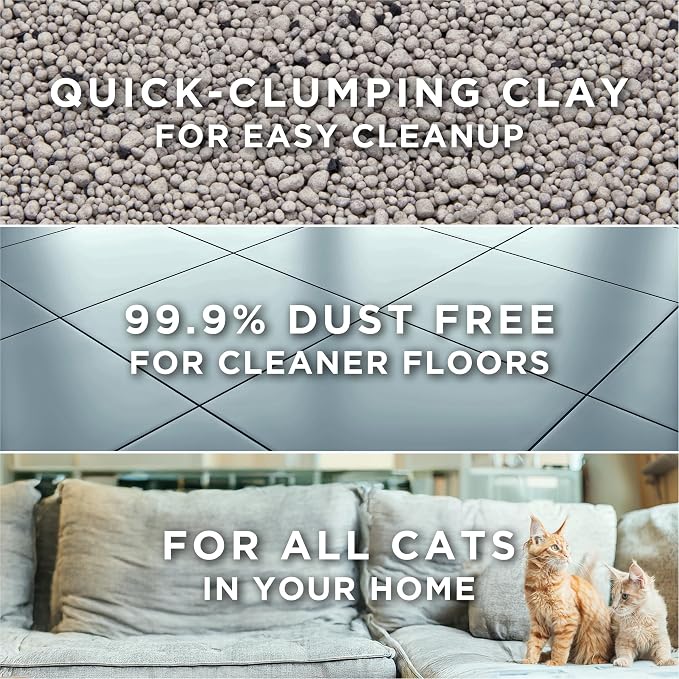 Purina Tidy Cats Free and Clean Unscented Clumping Cat Litter, 16 lb Bag | Activated charcoal formula delivers powerful odor absorption in an easy-pour design