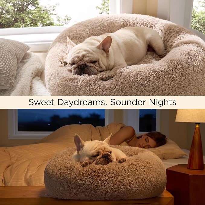 Bedsure Calming Small Dog Bed Donut Washable Cat＆Puppy Bed,23 inches 2 Pack | Fluffy Faux Fur Round Cuddler,Machine Washable,Anti-Slip Bottom,Anti-Anxiety,Deep Sleeping for Large Cat & Pets Up to 25 Lbs