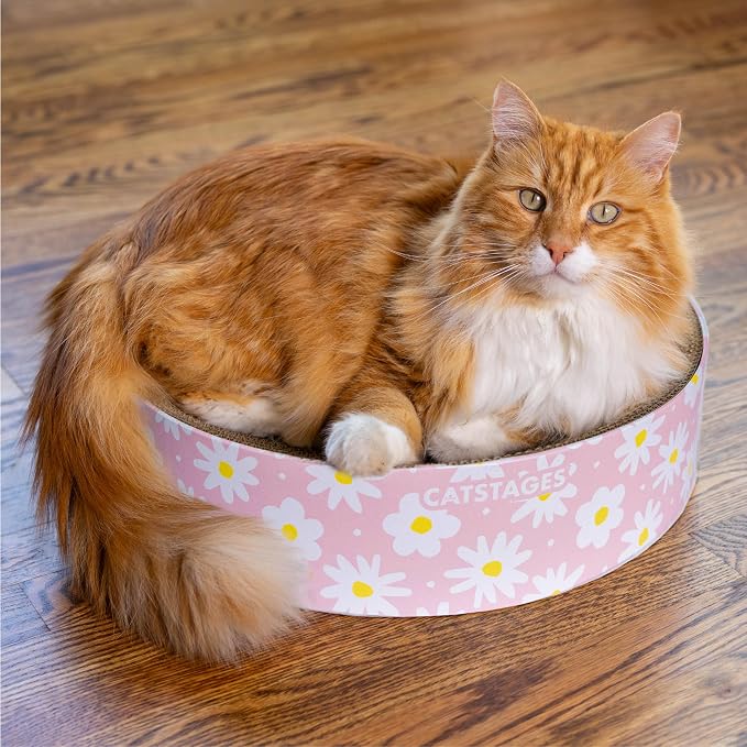 Catstages Scratch & Snuggle 2-in-1 Cat Scratcher & Lounger, Corrugated Cardboard Scratching Pad, Bowl-Shaped Design for Kittens & Indoor Cats up to 15 lbs, 16"