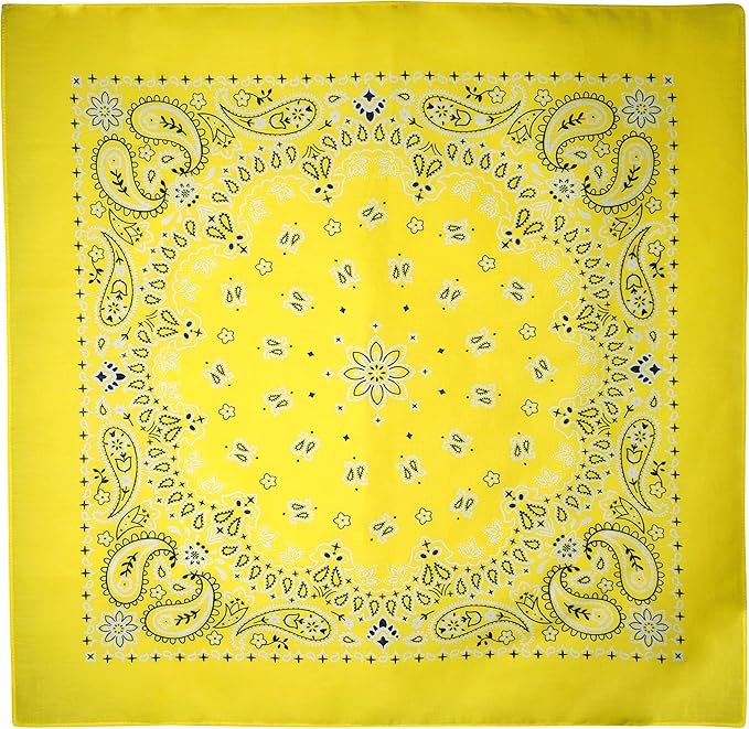 Gift Packaging Bandana for Men Women - 100% Cotton, Paisley, 22x22 In, 1 Pack - Large Bandanna Handkerchief Cowboy Hanky