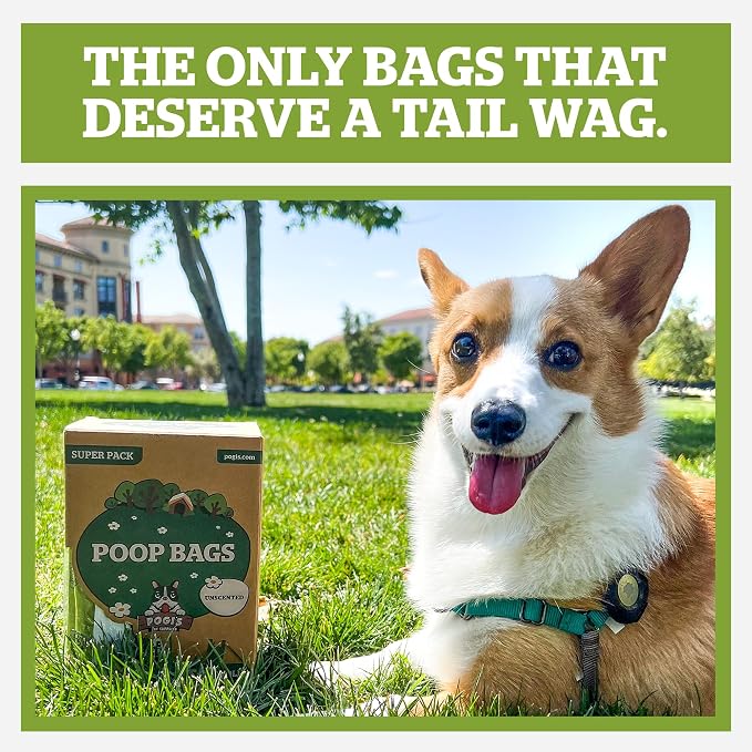 Pogi’s Dog Poop Bags with Handles – Extra-Thick, Leak-Proof, Large, Fresh Scent, 300-Count (Pack of 2)