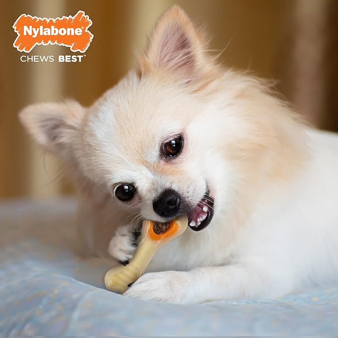 Nylabone Power Chew Knuckle Bone & Pop-In Dog Treat Toy, X-Small