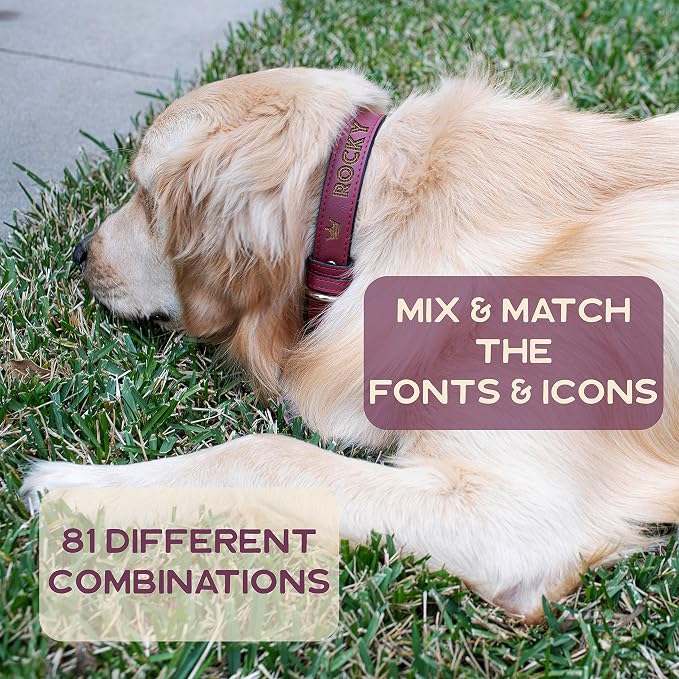 Personalized Leather Dog Collar | 3 Adjustable Sizes - 9 Icons with Your Pet's Name | Small - Black | - Safe&Secure Pet Collars with ID, Custom Text for Dogs and Puppy - Small Medium Large Puppies