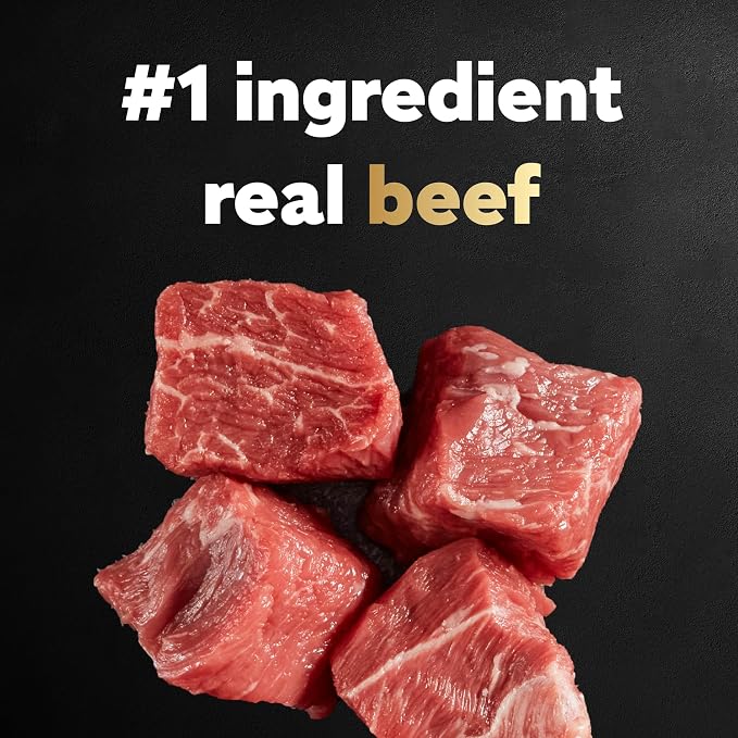 Cesar Small Breed Dry Dog Food, Filet Mignon & Spring Vegetables, 12 lb | Made in USA, Real beef #1 ingredient, 26 essential nutrients, supports small breed health, no artificial flavors