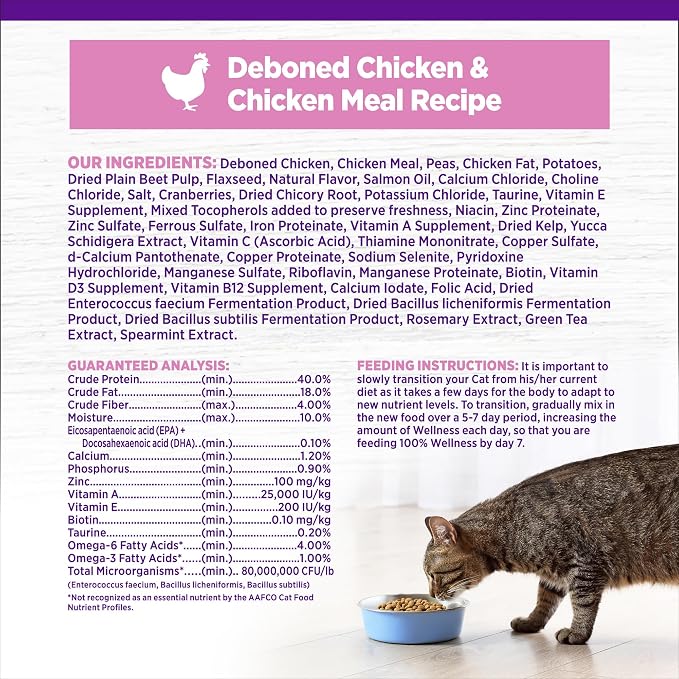Wellness Complete Health Kitten Dry Cat Food, Natural, Grain Free Kibble, Chicken Recipe, 5.5 lb Bag